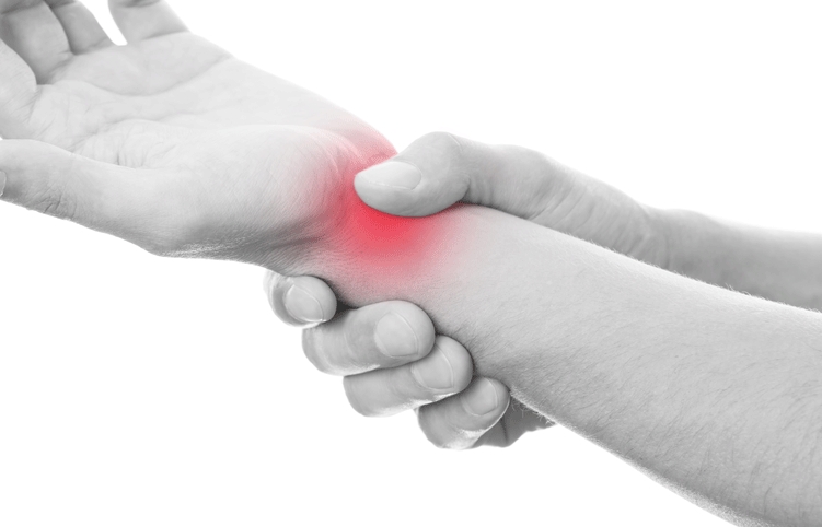 carpal